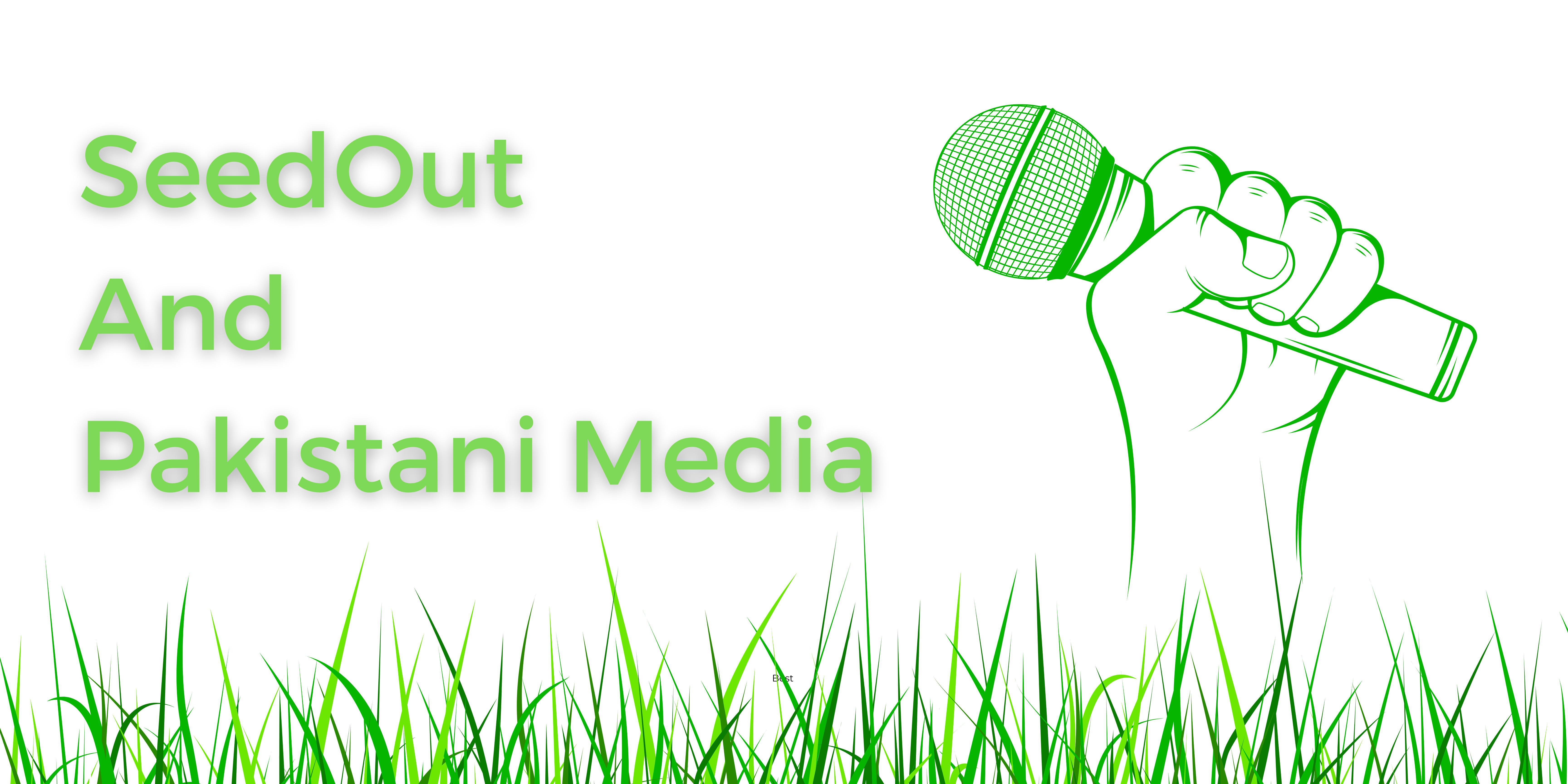 seedout appreciations by media and actors